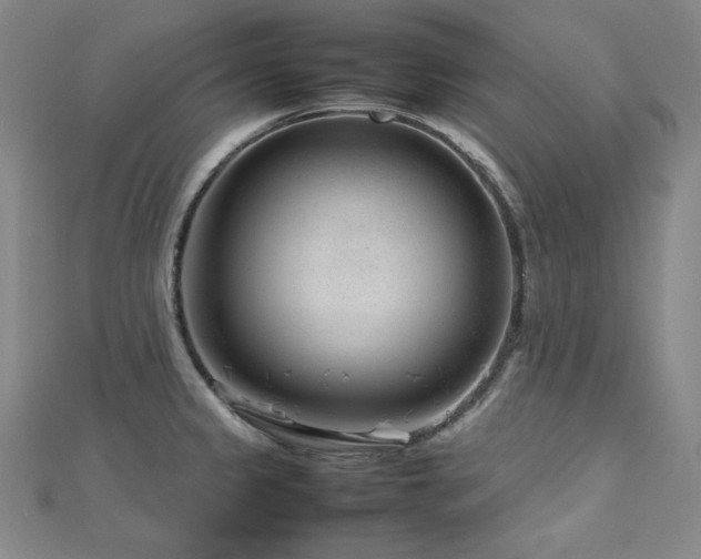 X0000112811333200908211136