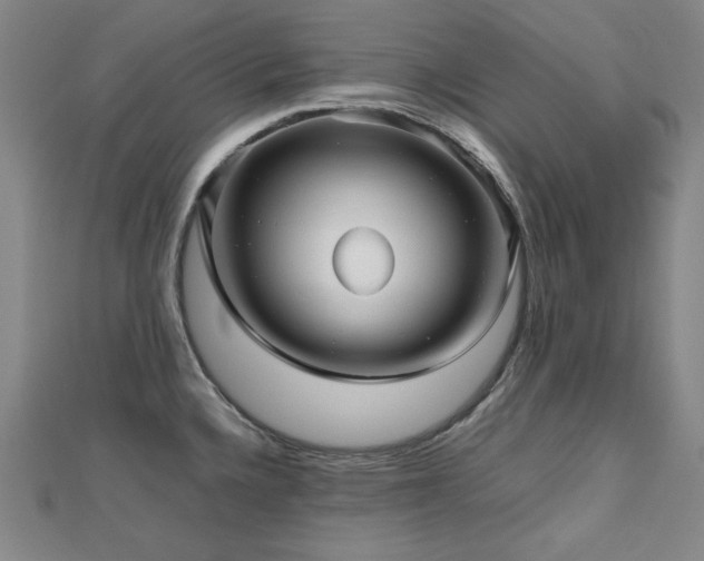 X0000112811336200908211136