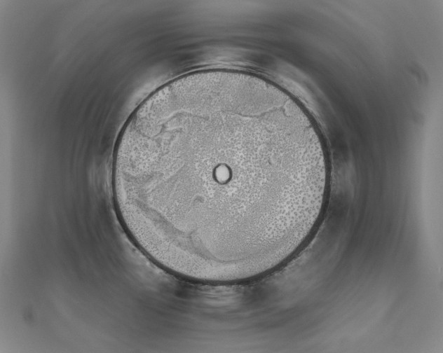 X0000112811338200908211136