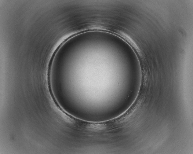 X0000112811339200908211136