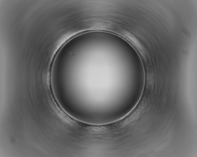 X0000112811340200908211136