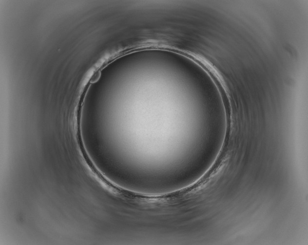 X0000112811341200908211136