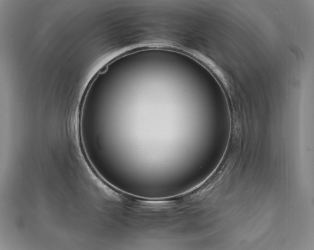 X0000112811343200908211136
