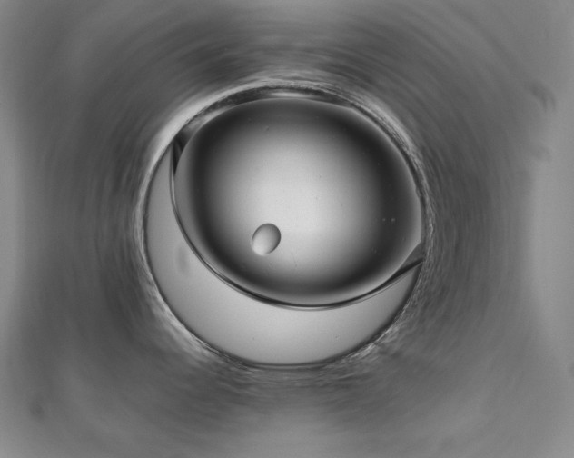 X0000112811344200908211136