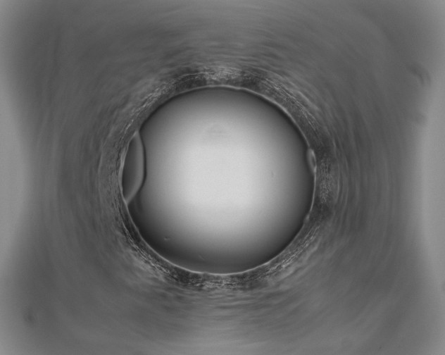 X0000112811345200908211135