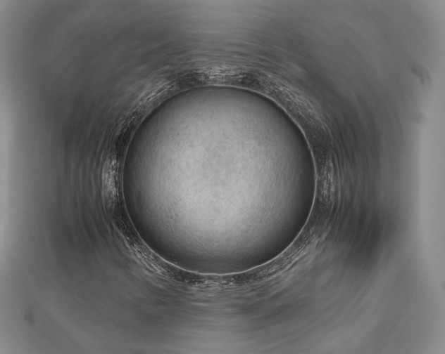 X0000112811346200908211135