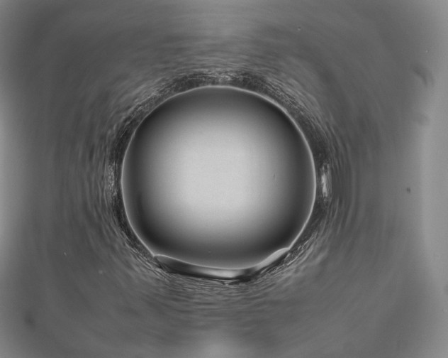 X0000112811347200908211135