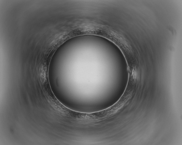 X0000112811348200908211135
