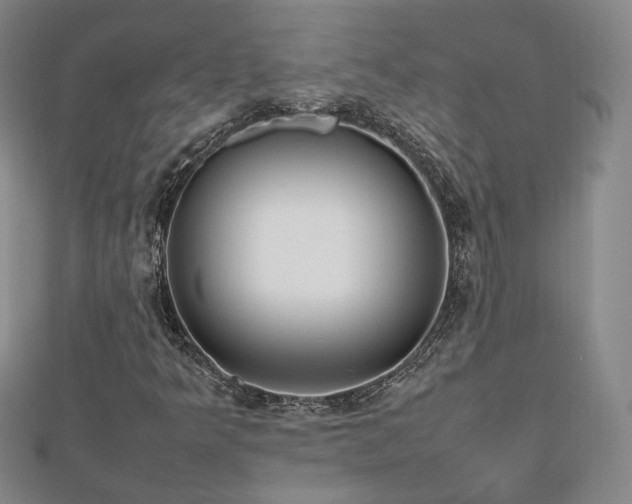 X0000112811349200908211135