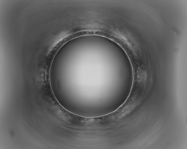 X0000112811352200908211135