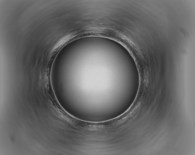 X0000112811354200908211135