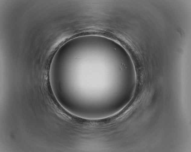 X0000112811355200908211135