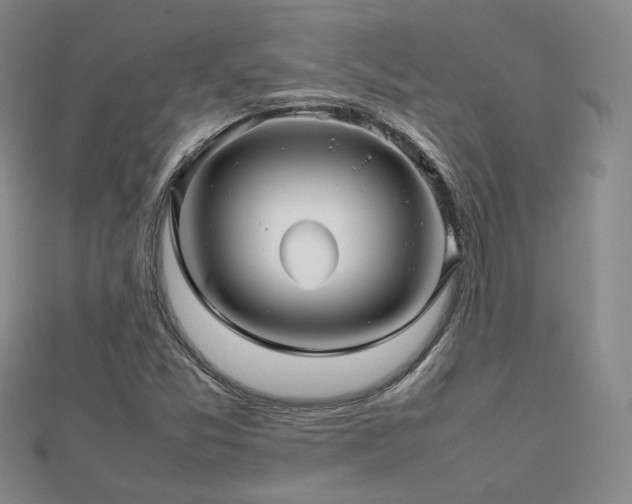X0000112811357200908211135