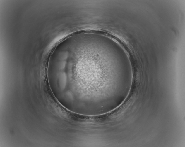 X0000112811359200908211135