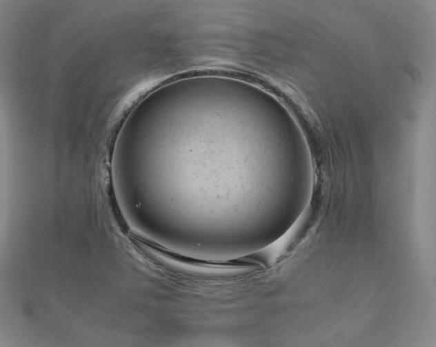 X0000112811363200908211135