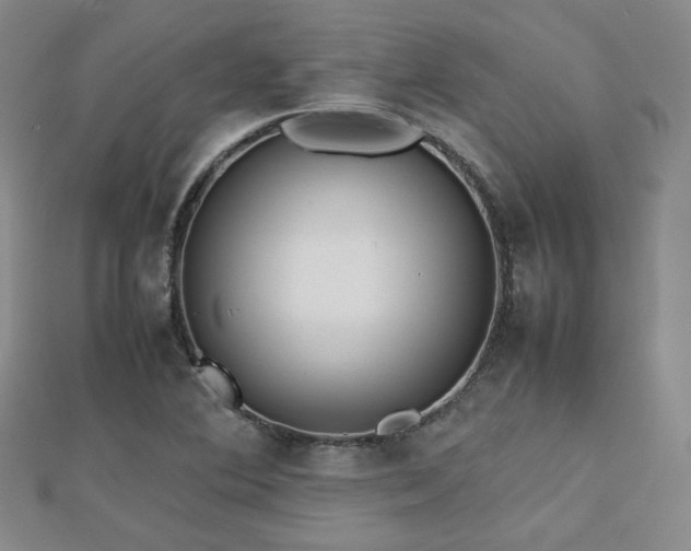 X0000112811364200908211135