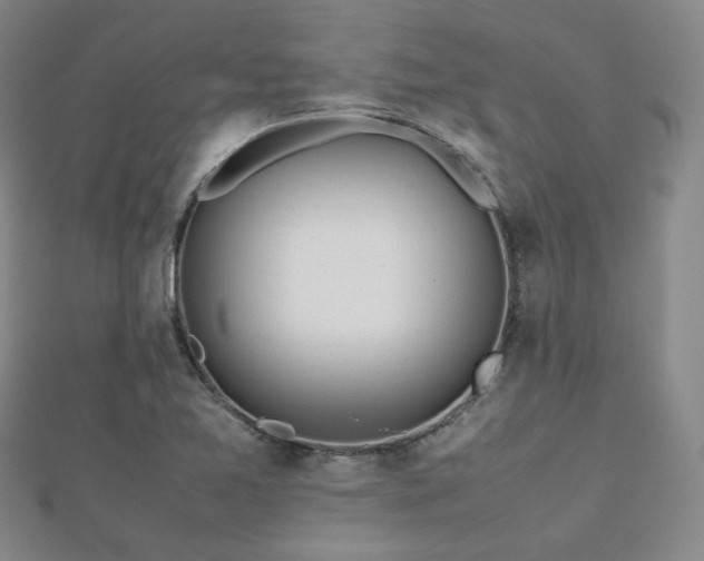 X0000112811365200908211135