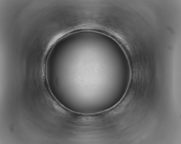 X0000112811366200908211135