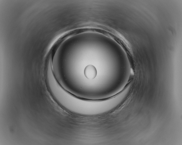 X0000112811368200908211135