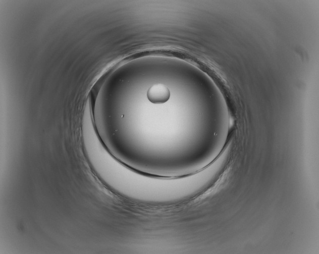 X0000112811369200908211135