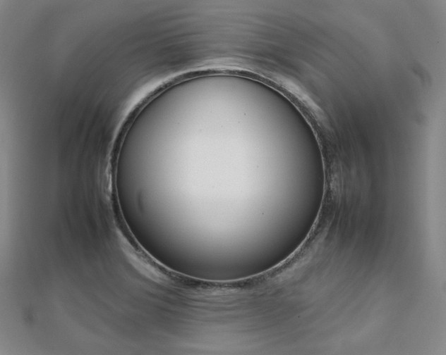 X0000112811372200908211135