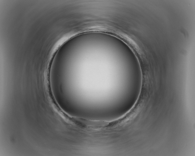 X0000112811373200908211135