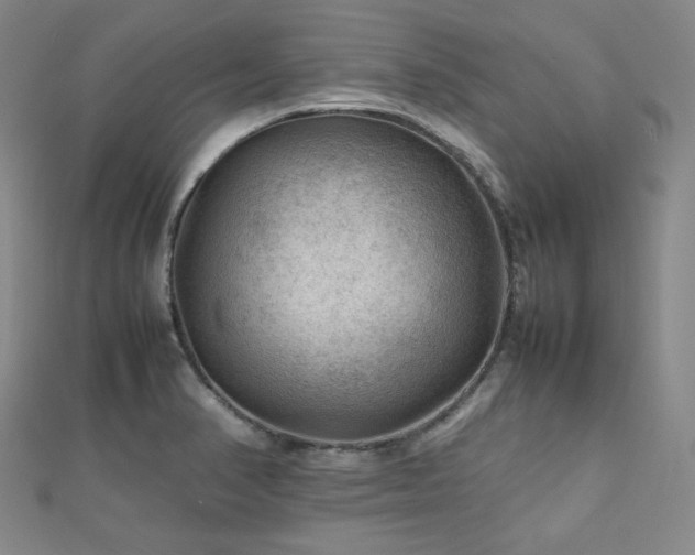 X0000112811374200908211135