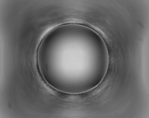 X0000112811375200908211135
