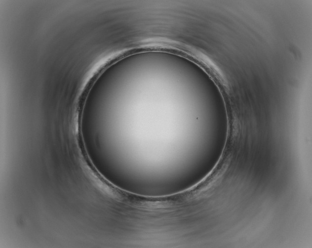 X0000112811376200908211135