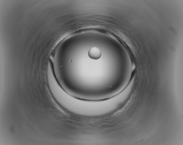 X0000112811377200908211135