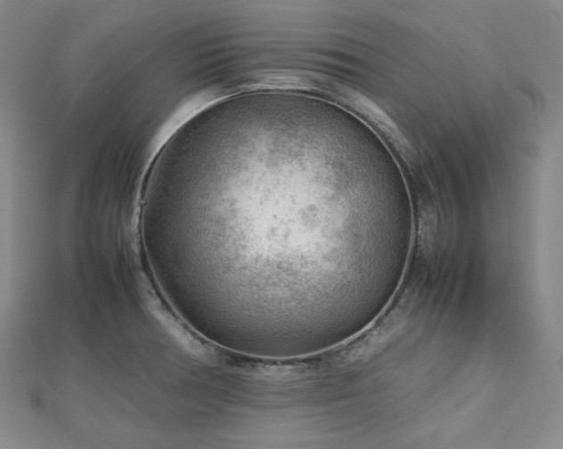 X0000112811378200908211135