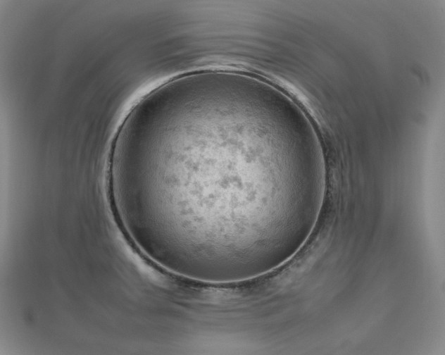 X0000112811379200908211135
