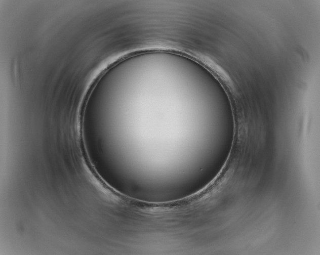 X0000112811380200908211135