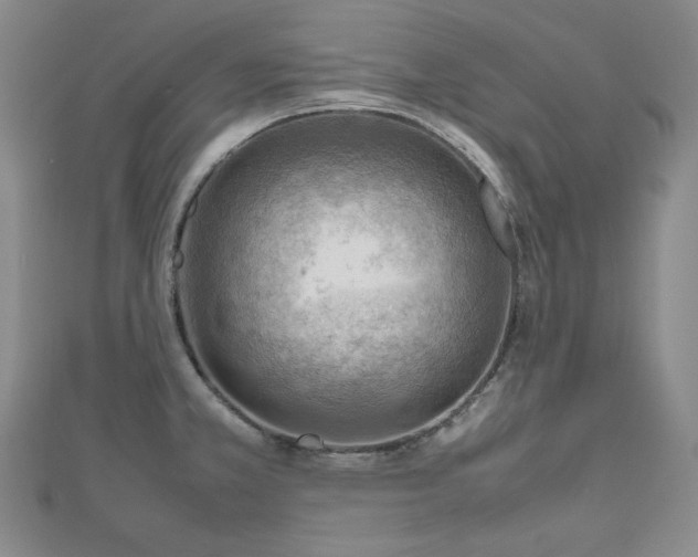 X0000112811381200908211135