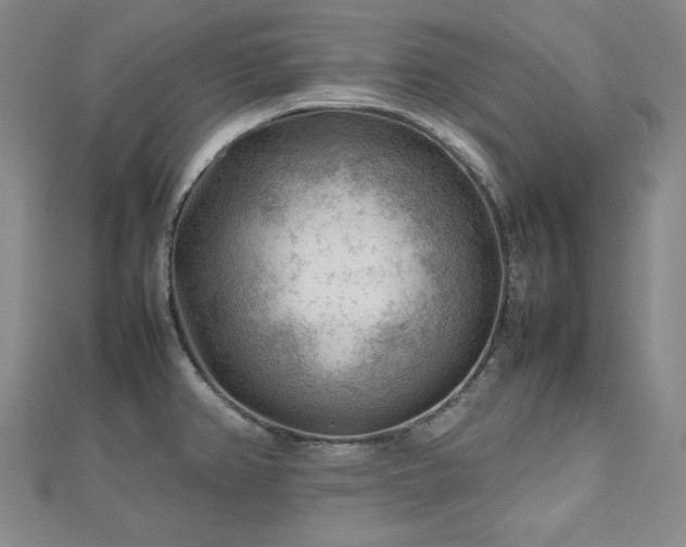 X0000112811382200908211134