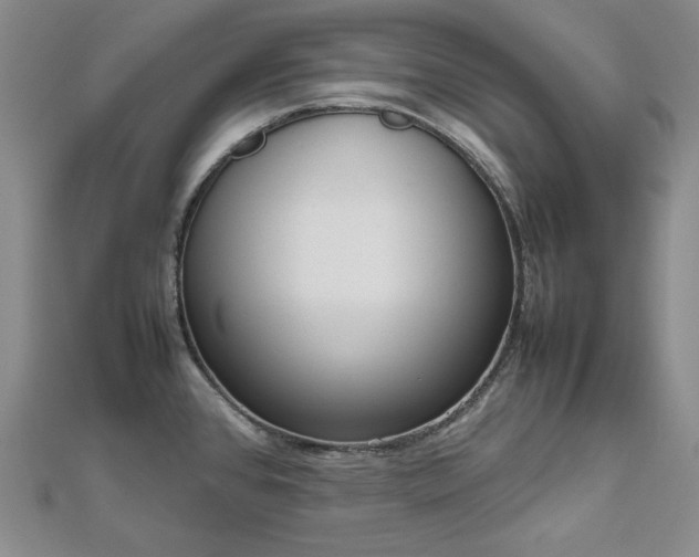 X0000112811384200908211134