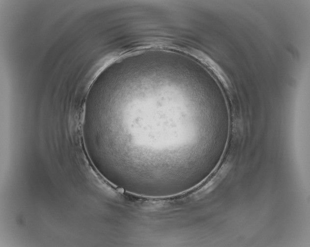 X0000112811385200908211134
