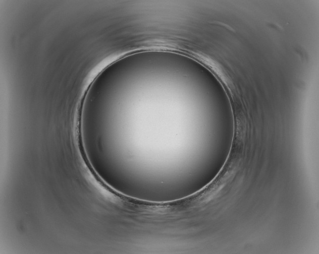 X0000112811387200908211134