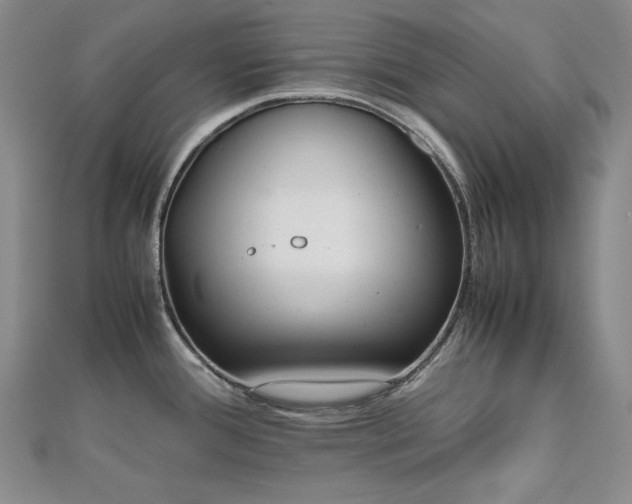 X0000112811388200908211134