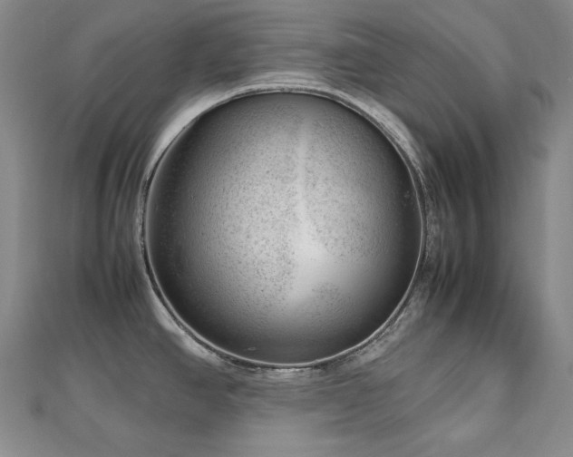 X0000112811390200908211134