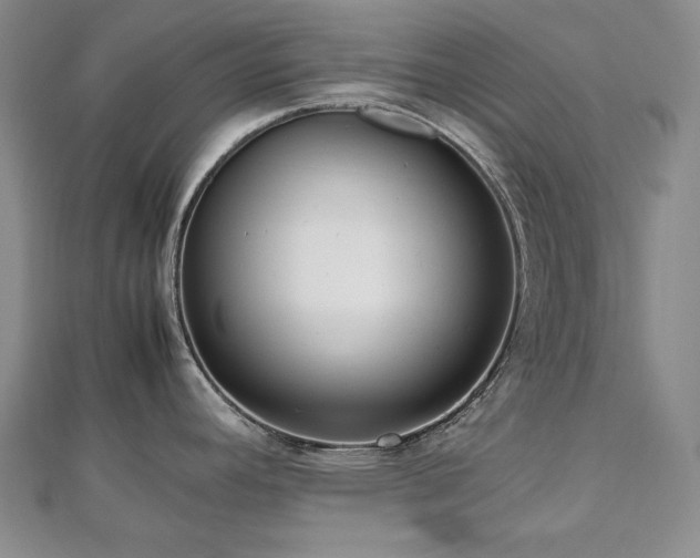 X0000112811392200908211134
