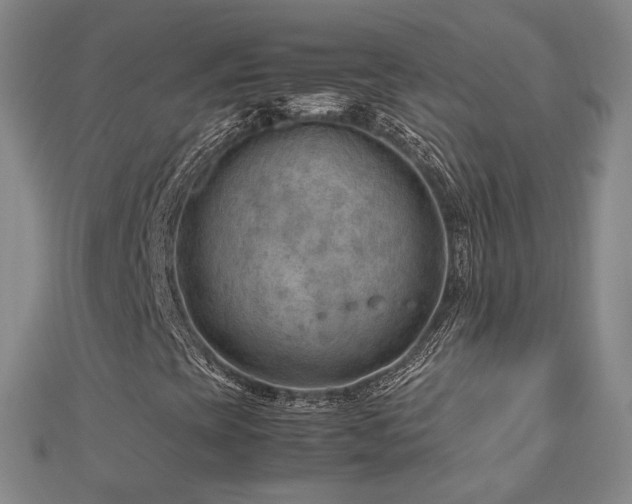 X0000112811393200908211134