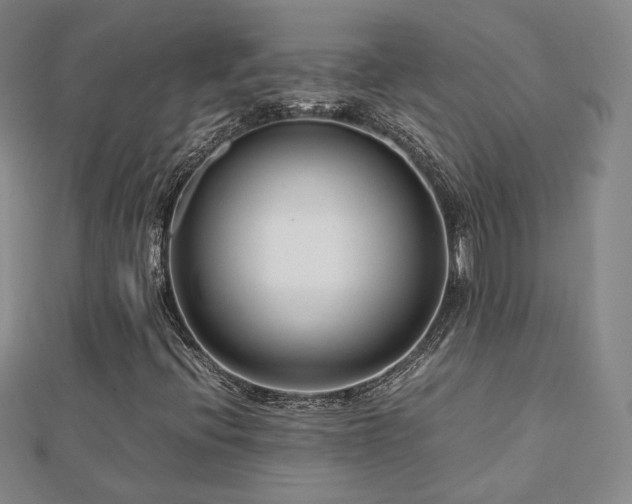 X0000112811396200908211134