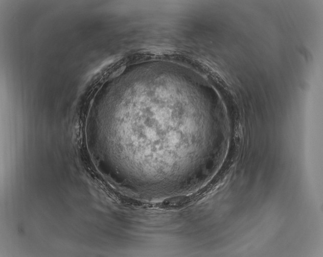 X0000112811398200908211134