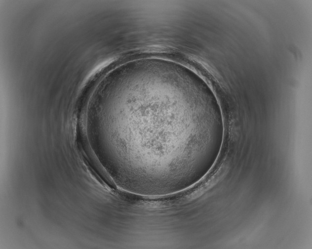 X0000112811402200908211134