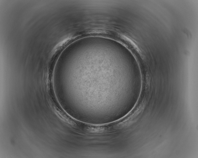X0000112811403200908211134