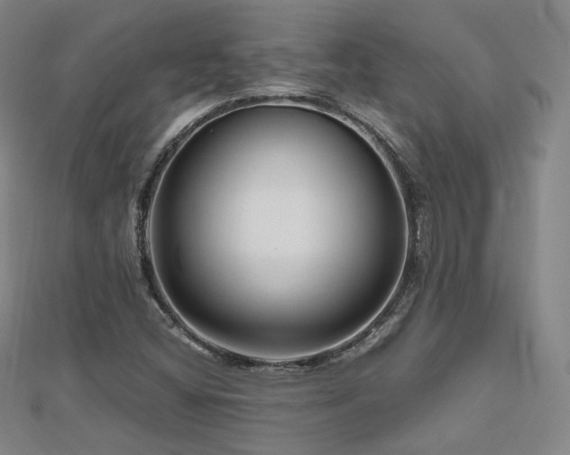 X0000112811404200908211134