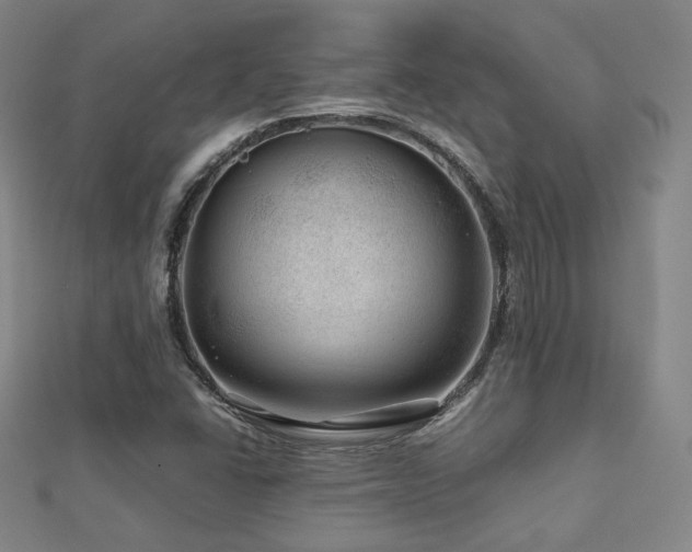 X0000112811406200908211134
