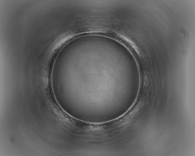 X0000112811407200908211134