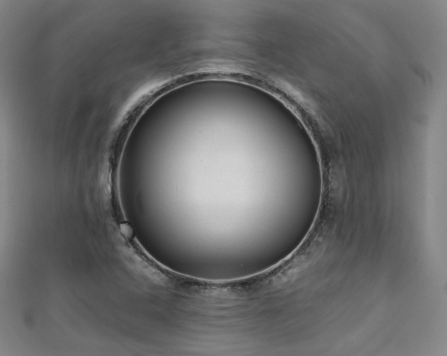 X0000112811408200908211134